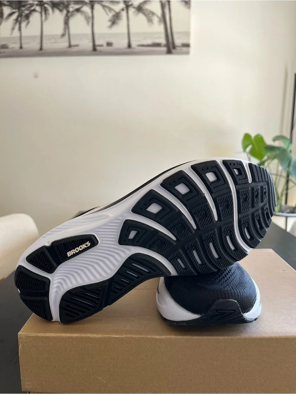 Brooks Black & White Ghost Running Shoes